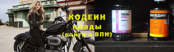 apvp Вязьма