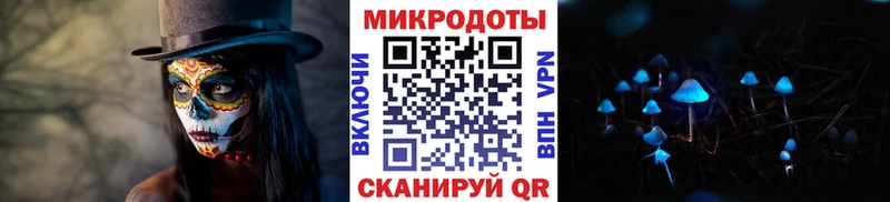 Купить закладки  Сасово  Псилоцибиновые грибы MAGIC MUSHROOMS 